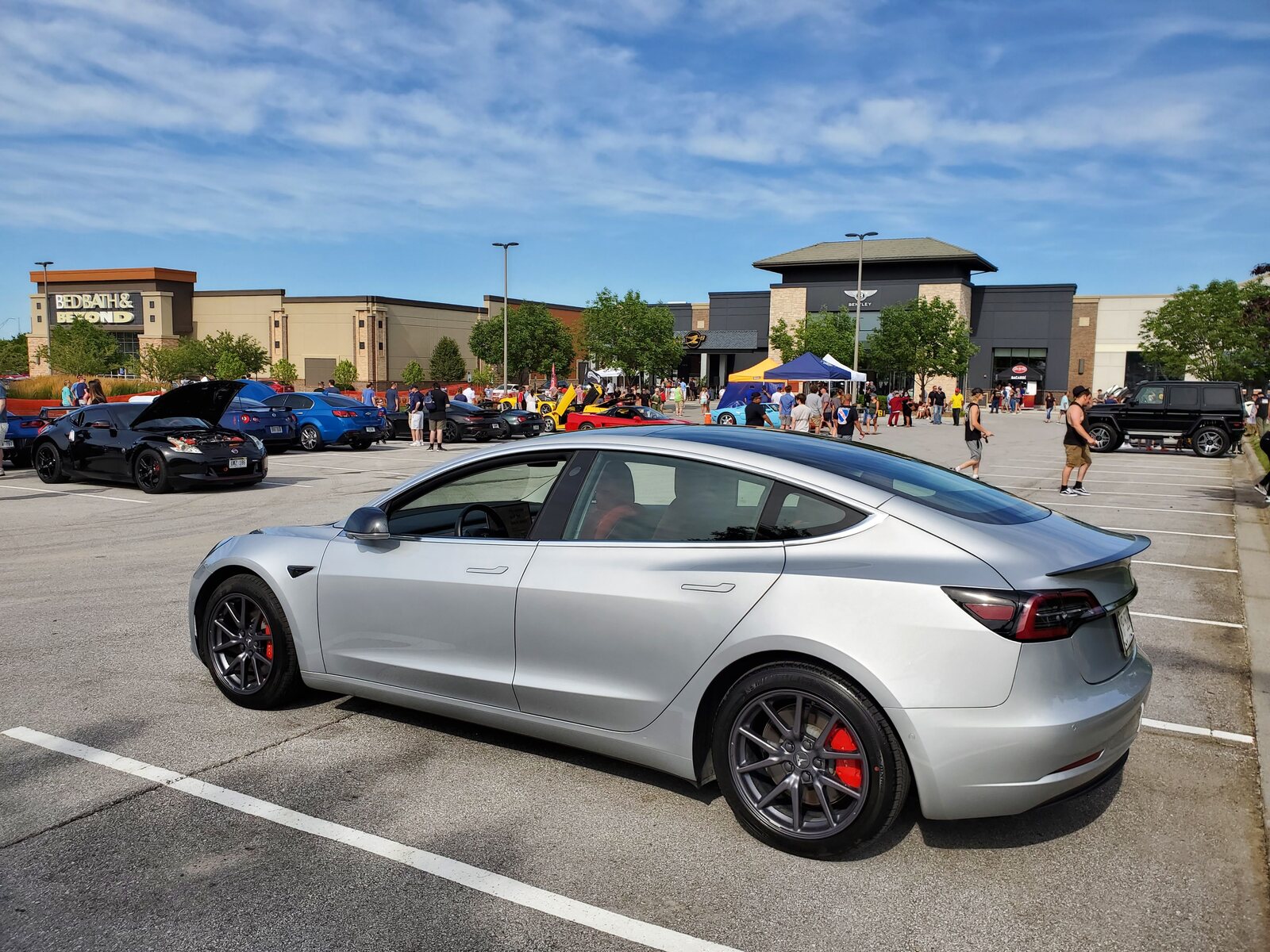 2019 Silver Tesla Model 3 Performance with PUP and Aero wheels picture, mods, upgrades