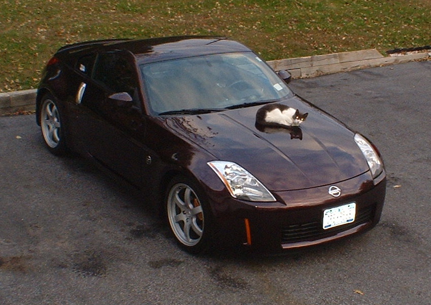 2003  Nissan 350Z Track Single Turbo picture, mods, upgrades