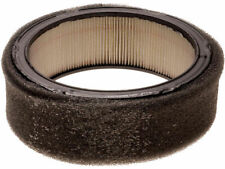 Air Filter fits Fleetwood 1980-1981 99YPND picture