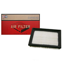 Air Filter-Eng Code: D16Y7 Champion Filter CAP8040 picture