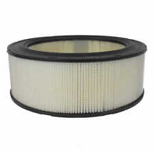 Air Filter Motorcraft FA-1079 picture