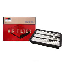 Air Filter Champion Filter CAP8067 picture