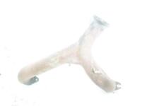 OEM Porsche Outer Exhaust Manifold Header 83-86 944 87-88 924s picture